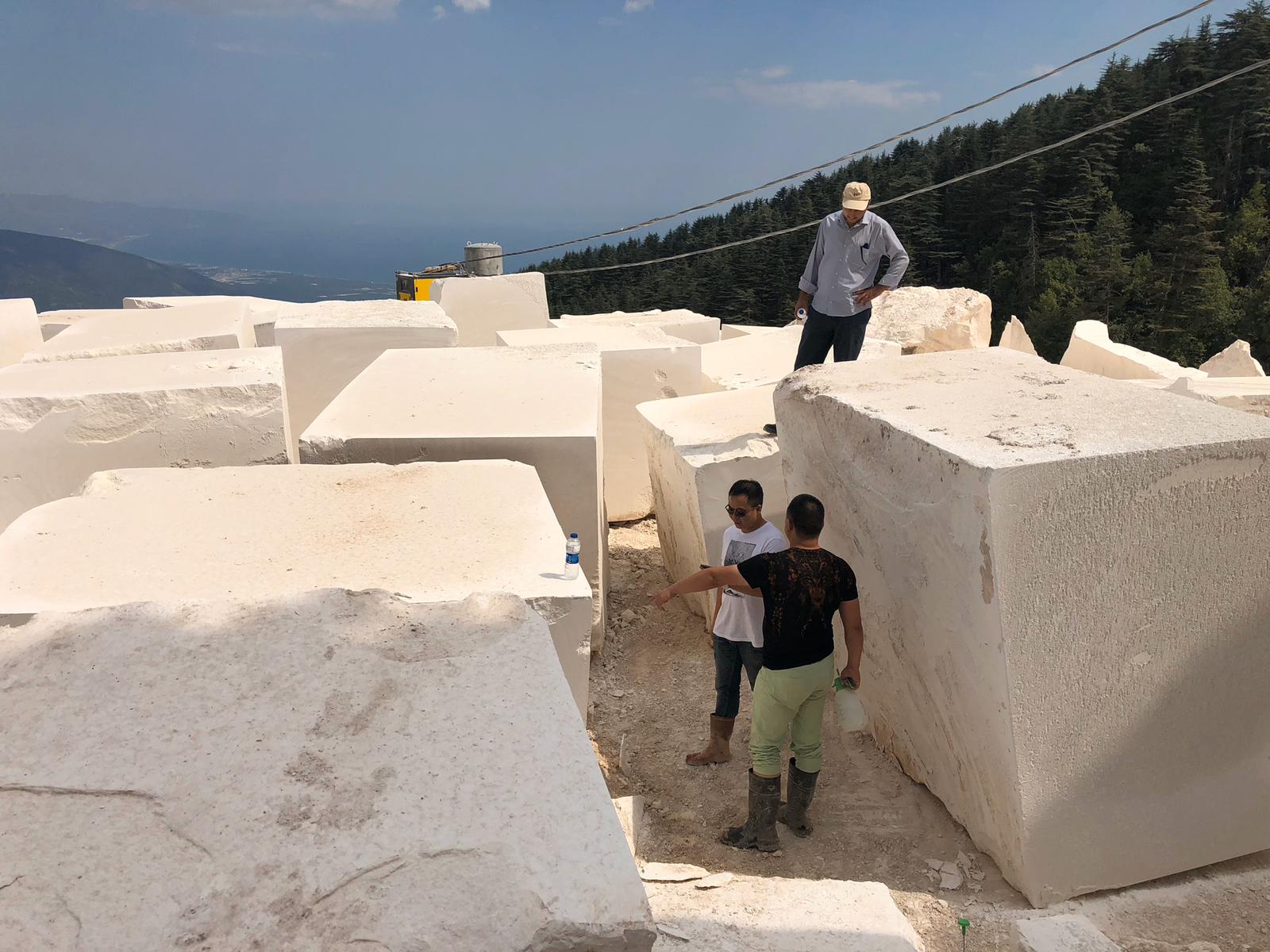 Stone Distributors